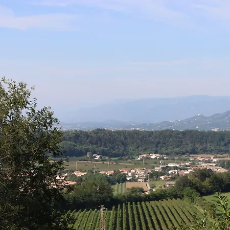 Hotel Pineta Montebelluna